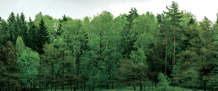tile_sustainability-1.webp